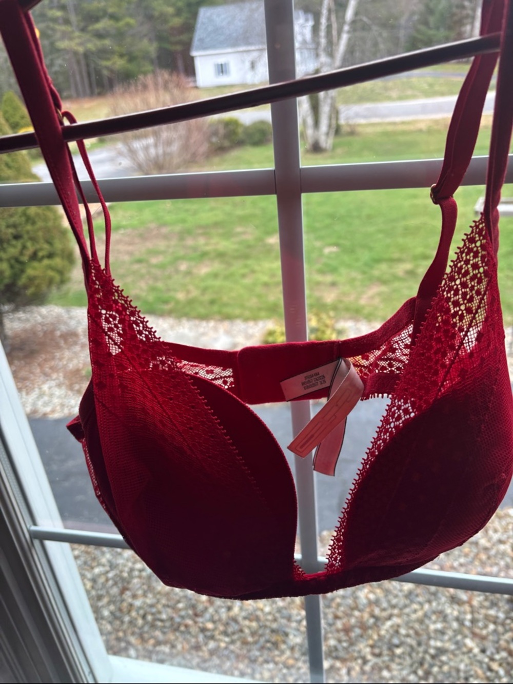 Victoria's Secret Red Lace Plunge Bra
